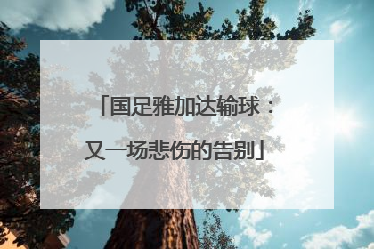 国足雅加达输球：又一场悲伤的告别