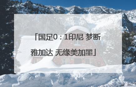 国足0∶1印尼 梦断雅加达 无缘美加墨