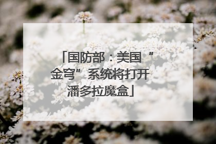 国防部：美国“金穹”系统将打开潘多拉魔盒