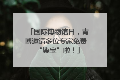 国际博物馆日，青博邀请多位专家免费“鉴宝”啦！