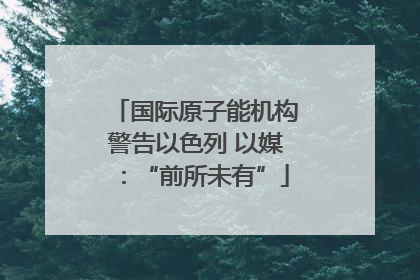 国际原子能机构警告以色列 以媒：“前所未有”