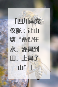 四川南充仪陇：让山塘“蓄得住水、灌得到田、上得了山”