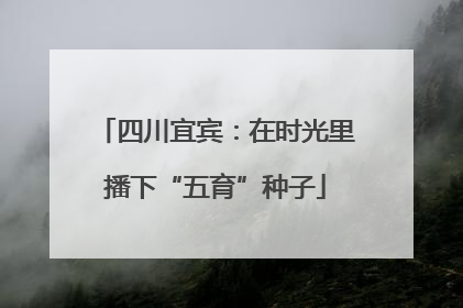 四川宜宾：在时光里播下“五育”种子