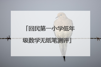 回民第一小学低年级数学无纸笔测评