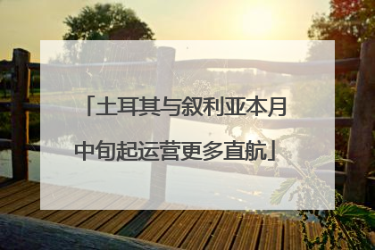 土耳其与叙利亚本月中旬起运营更多直航