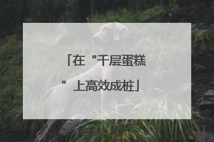 在“千层蛋糕”上高效成桩