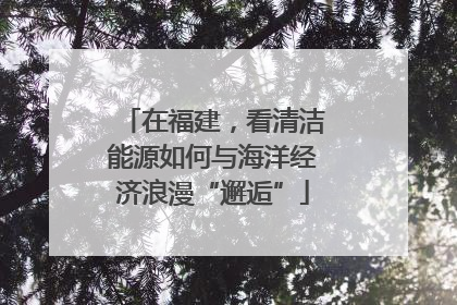 在福建，看清洁能源如何与海洋经济浪漫“邂逅”