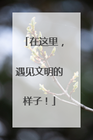 在这里，遇见文明的样子！