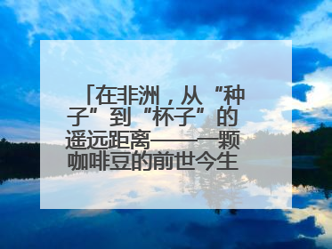 在非洲，从“种子”到“杯子”的遥远距离——一颗咖啡豆的前世今生（三）