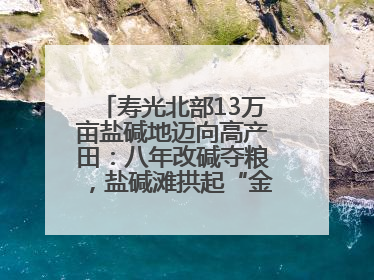 寿光北部13万亩盐碱地迈向高产田：八年改碱夺粮，盐碱滩拱起“金粮仓”