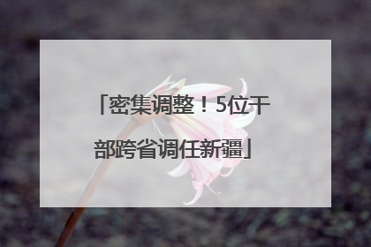 密集调整！5位干部跨省调任新疆