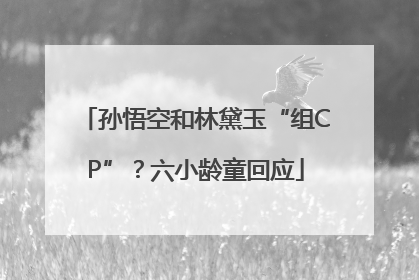 孙悟空和林黛玉“组CP”？六小龄童回应