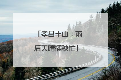 孝昌丰山：雨后天晴插秧忙