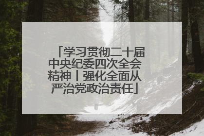 学习贯彻二十届中央纪委四次全会精神丨强化全面从严治党政治责任