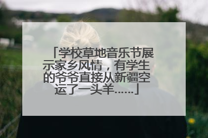 学校草地音乐节展示家乡风情，有学生的爷爷直接从新疆空运了一头羊……