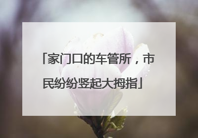 家门口的车管所，市民纷纷竖起大拇指