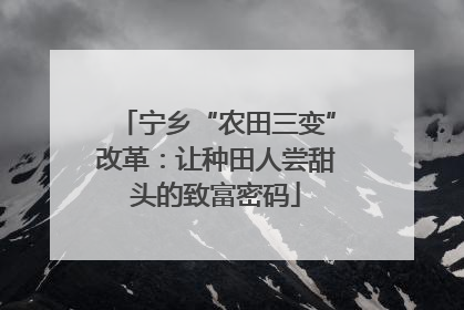 宁乡“农田三变”改革：让种田人尝甜头的致富密码