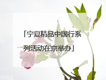 宁夏精品中国行系列活动在京举办
