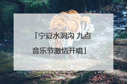 宁夏水洞沟 九点音乐节激情开唱