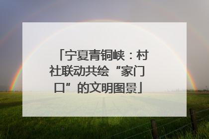 宁夏青铜峡：村社联动共绘“家门口”的文明图景