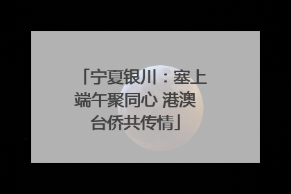 宁夏银川：塞上端午聚同心 港澳台侨共传情