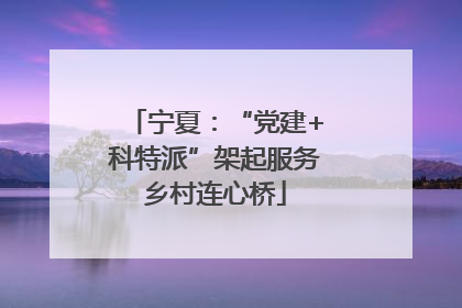 宁夏：“党建+科特派”架起服务乡村连心桥