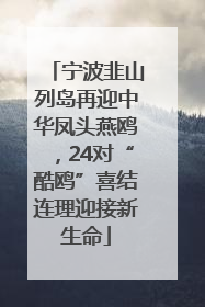 宁波韭山列岛再迎中华凤头燕鸥，24对“酷鸥”喜结连理迎接新生命