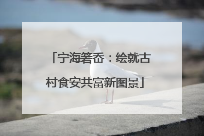 宁海箬岙：绘就古村食安共富新图景