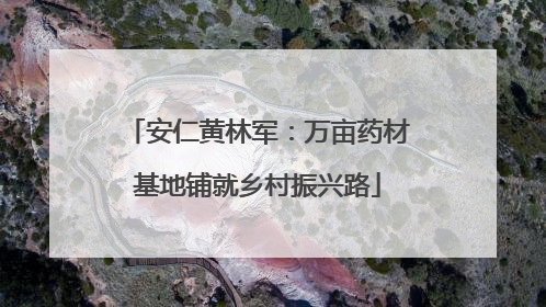 安仁黄林军：万亩药材基地铺就乡村振兴路