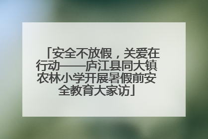 安全不放假，关爱在行动——庐江县同大镇农林小学开展暑假前安全教育大家访