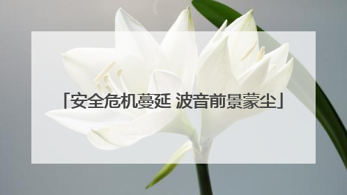 安全危机蔓延 波音前景蒙尘