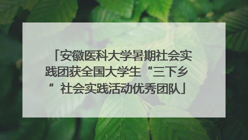 安徽医科大学暑期社会实践团获全国大学生“三下乡”社会实践活动优秀团队
