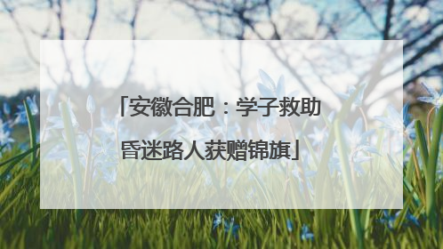 安徽合肥：学子救助昏迷路人获赠锦旗