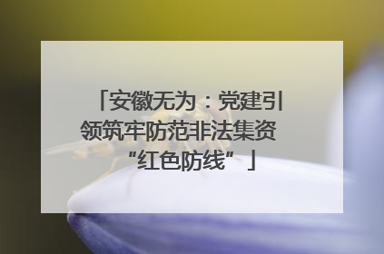 安徽无为：党建引领筑牢防范非法集资“红色防线”