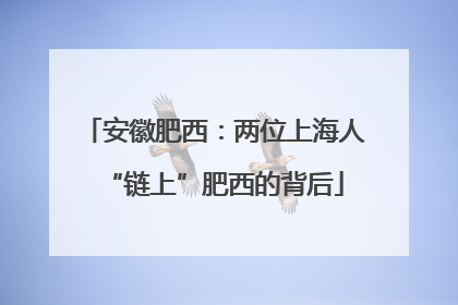 安徽肥西：两位上海人“链上”肥西的背后