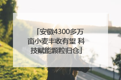 安徽4300多万亩小麦丰收有望 科技赋能颗粒归仓