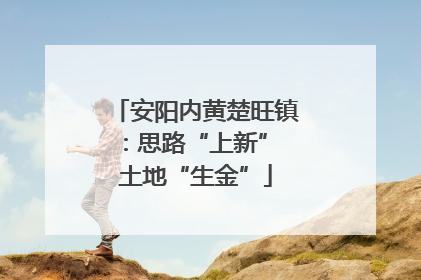 安阳内黄楚旺镇：思路“上新” 土地“生金”