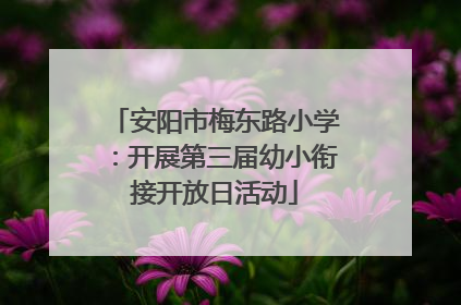安阳市梅东路小学：开展第三届幼小衔接开放日活动