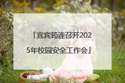 宜宾筠连召开2025年校园安全工作会