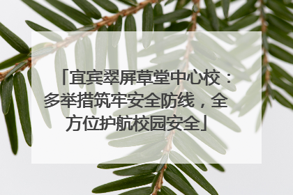 宜宾翠屏草堂中心校:多举措筑牢安全防线,全方位护航校园安全
