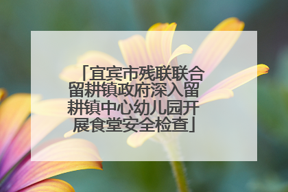 宜宾市残联联合留耕镇政府深入留耕镇中心幼儿园开展食堂安全检查