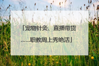 宠物针灸、直播带货……职教周上秀绝活
