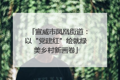 宣威市凤凰街道：以“党建红”绘就绿美乡村新画卷