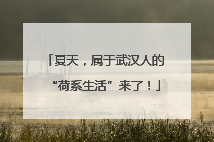 夏天，属于武汉人的“荷系生活”来了！