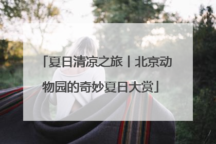 夏日清凉之旅丨北京动物园的奇妙夏日大赏