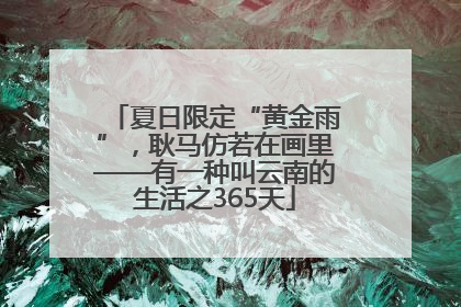 夏日限定“黄金雨”，耿马仿若在画里——有一种叫云南的生活之365天