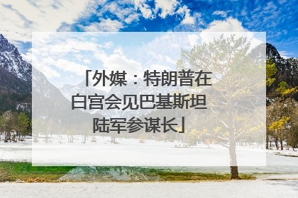 外媒：特朗普在白宫会见巴基斯坦陆军参谋长