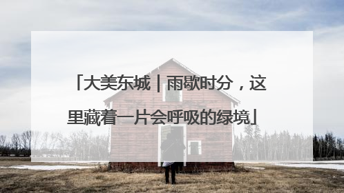 大美东城｜雨歇时分，这里藏着一片会呼吸的绿境