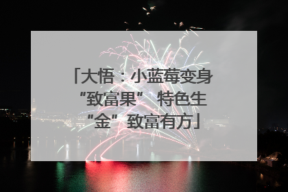 大悟：小蓝莓变身“致富果” 特色生“金”致富有方