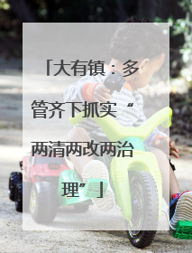 大有镇：多管齐下抓实“两清两改两治理”
